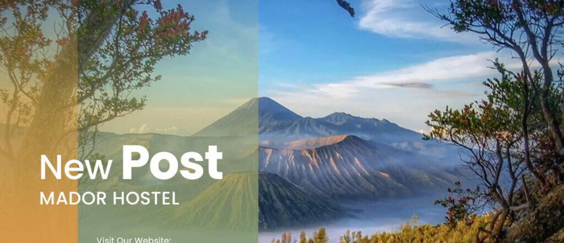 artikel Best Bromo Tour from Malang