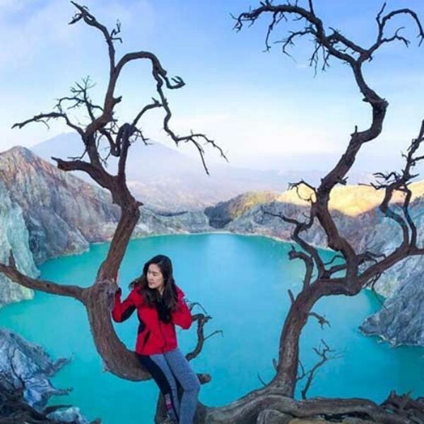 2-Day 1-Night Bromo-Ijen Tour