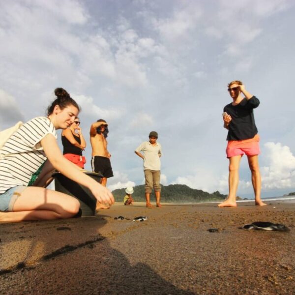 2-Day 1-Night Banyuwangi Sukamade Sea Turtle